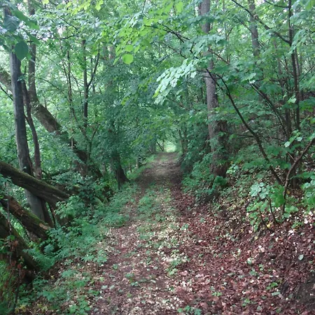 Domek alpejski Raika Cierny Potok